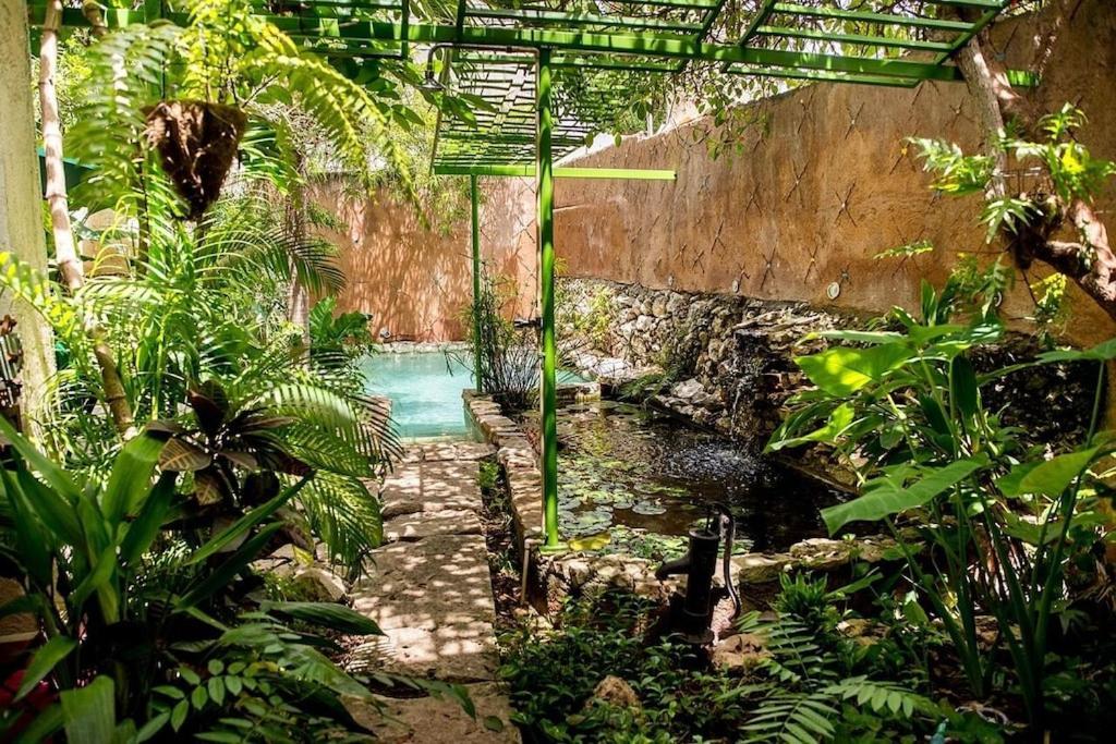 Aqua By Majikal B&B Merida Exterior photo